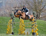 Philippaerts N Rochet TosTour2013- S5 2775 : Arezzo, Arezzo Equestrian Centre, Philippaerts Nicola, Rochet de la Vaulx, Toscana Tour 2013, foto di Stefano Secchi ©